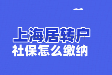 2022上海居转户社保补缴可以累计吗？落户上海社保怎么缴纳