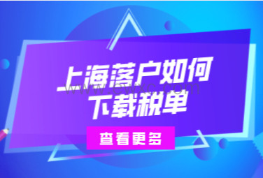 上海落户申请离不开税单缴纳，如何在电脑上下载历年税单